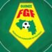 Football: C’est officiel, la Guinée ne participera pas à la prochaine Coupe d’Afrique des Nations (Communiqué)