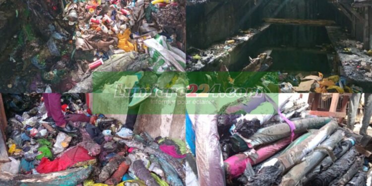 Conakry: 12.000.000 francs guinéens et des marchandises calcinés dans un incendie à Taouyah Marché