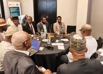 Nigéria Vision 2050 (CEDEAO) : le SPPG au cœur des échanges