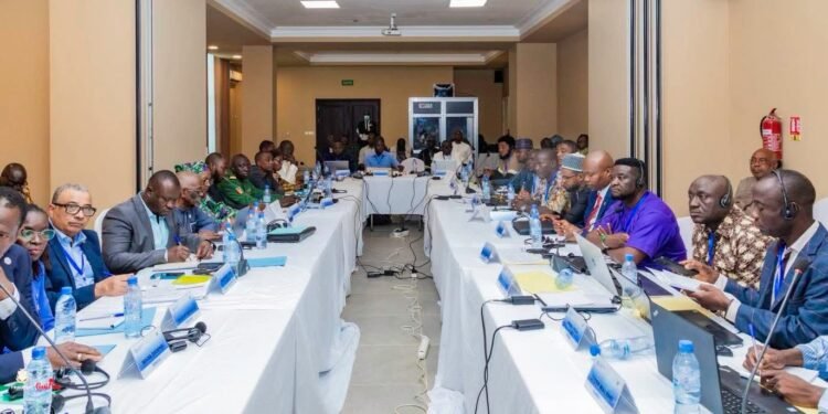 Protection des forêts en Afrique de l’Ouest : la Guinée accueille l’atelier régional de validation du plan de convergence forestière 2025-2035