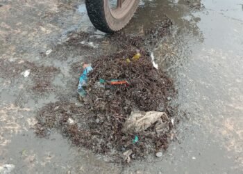 Conakry : « Makalé », véritable cause de la pénurie de poissons locaux, des pêcheurs s’expriment