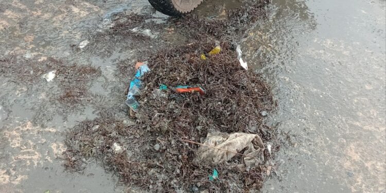 Conakry : « Makalé », véritable cause de la pénurie de poissons locaux, des pêcheurs s’expriment