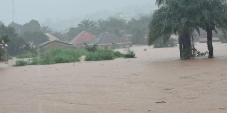 Pluies diluviennes à Conakry : des inondations signalées à Manéah