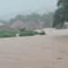 Pluies diluviennes à Conakry : des inondations signalées à Manéah