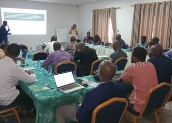 Guinée : « Aujourd’hui, à Conakry, il s’agit du deuxième atelier que nous organisons sur la transition énergétique » (Mamadi Koïvogui)