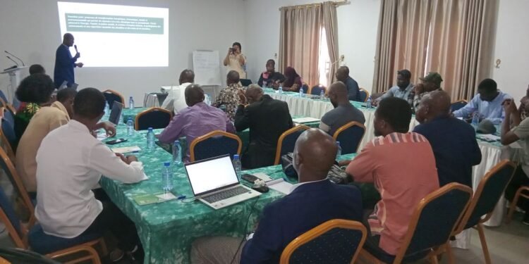 Guinée : « Aujourd’hui, à Conakry, il s’agit du deuxième atelier que nous organisons sur la transition énergétique » (Mamadi Koïvogui)