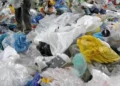 Interdiction des plastiques en Guinée : des vendeurs d’aliments entre inquiétudes et faibles revenus