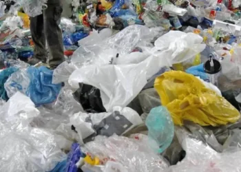 Interdiction des plastiques en Guinée : des vendeurs d’aliments entre inquiétudes et faibles revenus